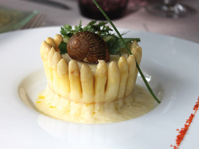 Timbale de Legumes | Receitas | Continente Timbale de Legumes | Receitas | Continente