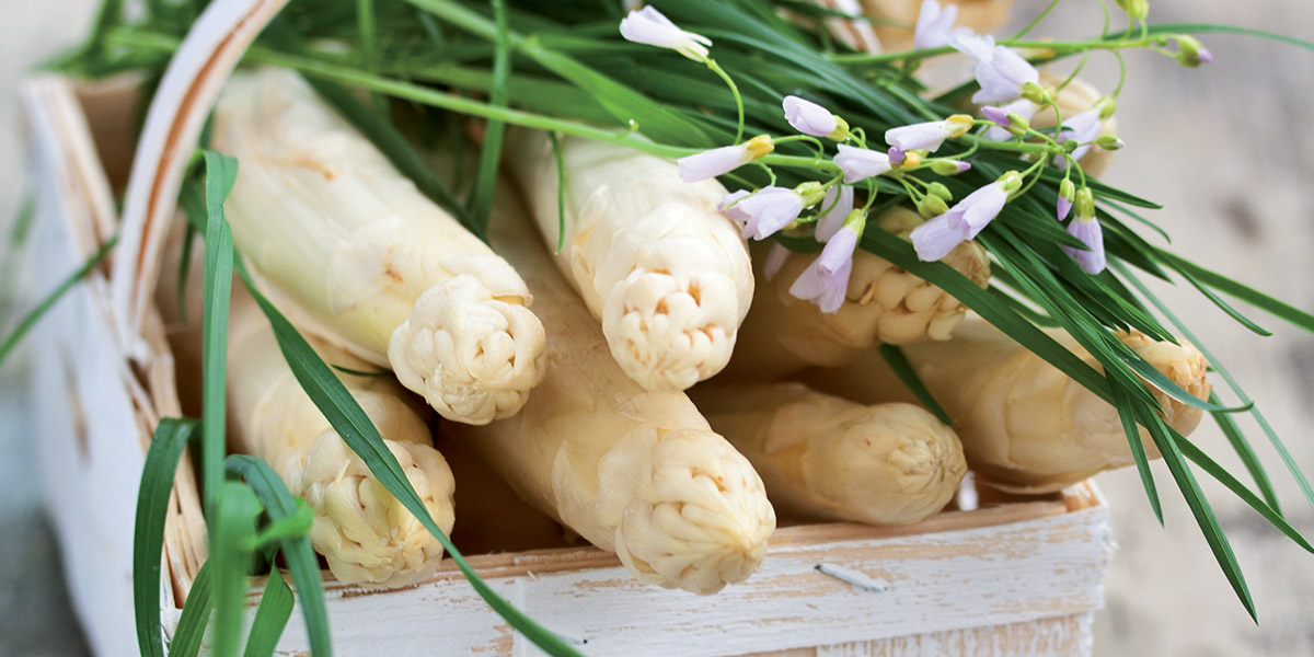 Asperges d'Alsace Les producteurs Asperges d'Alsace